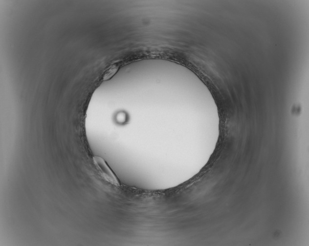 X0000091960865200709201341