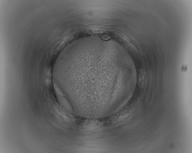 X0000091960866200709201341