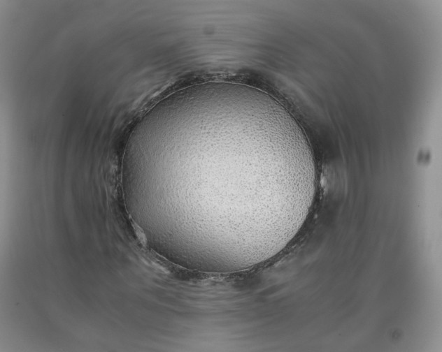 X0000091960867200709201341