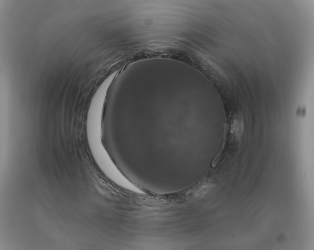 X0000091960868200709201341