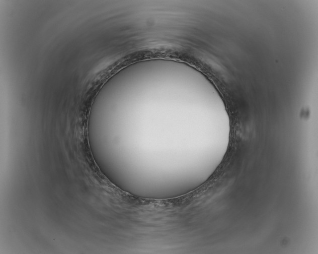 X0000091960869200709201341