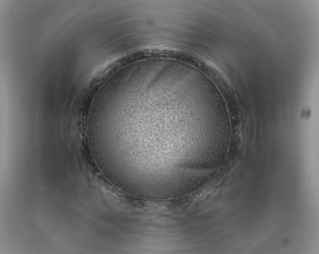 X0000091960870200709201341