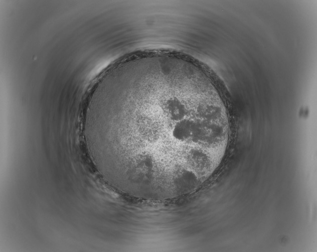 X0000091960871200709201341