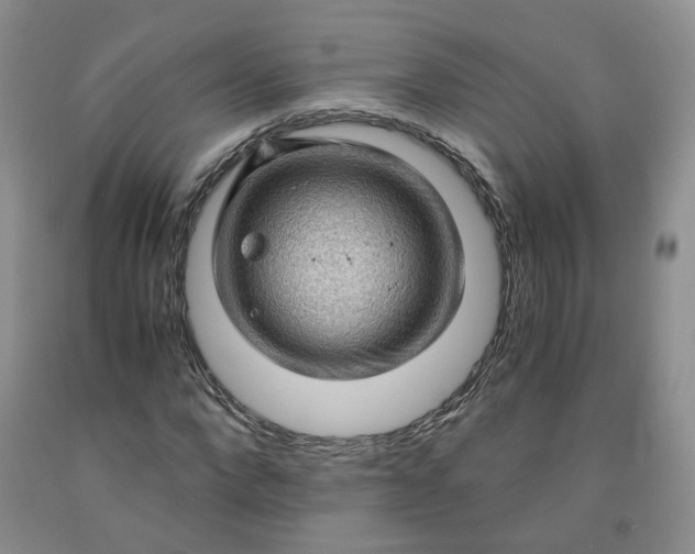 X0000091960872200709201341