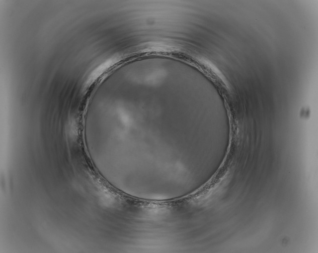 X0000091960874200709201341