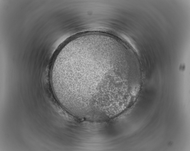 X0000091960875200709201341