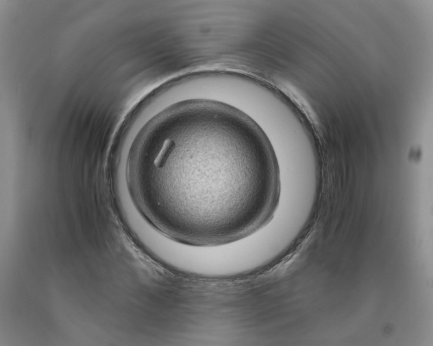 X0000091960876200709201341