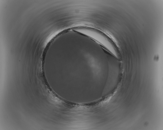 X0000091960877200709201341