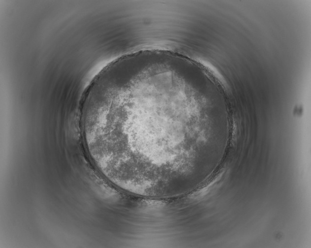 X0000091960878200709201341