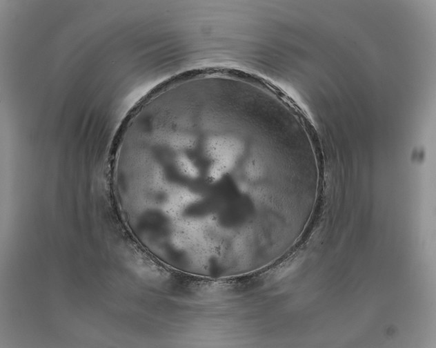 X0000091960879200709201341