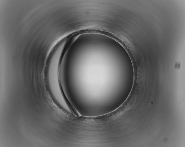 X0000091960880200709201341