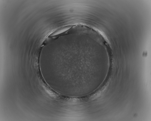 X0000091960881200709201341