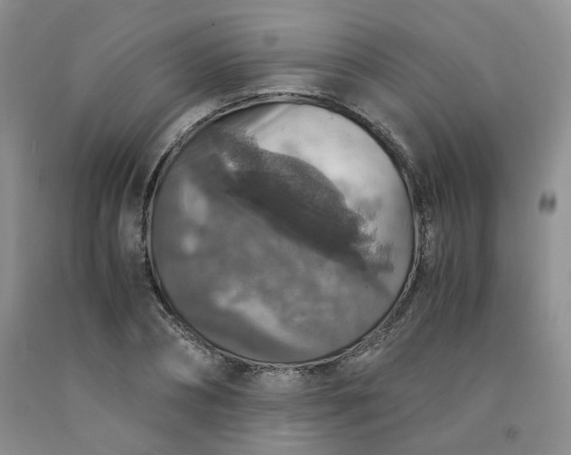 X0000091960882200709201341