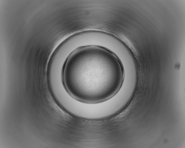 X0000091960884200709201341