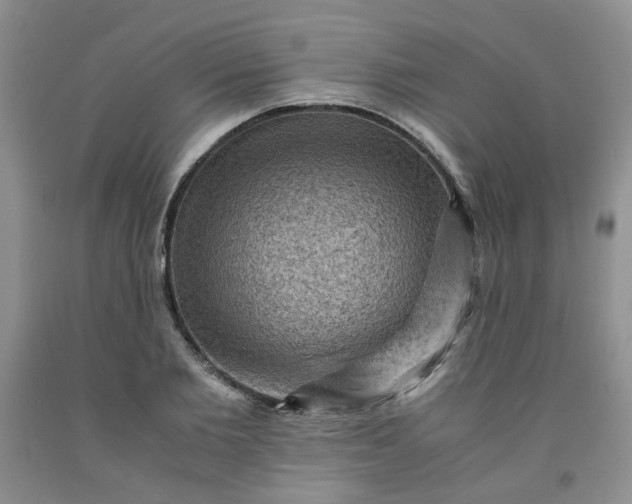 X0000091960885200709201341