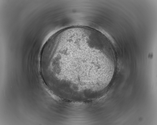 X0000091960886200709201341