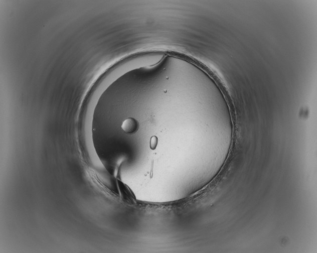 X0000091960887200709201341