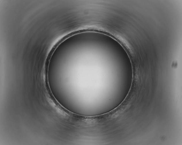 X0000091960888200709201341