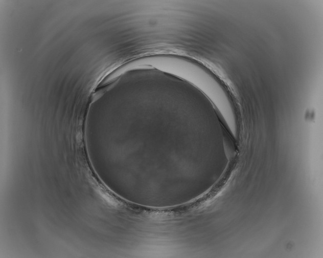 X0000091960889200709201341