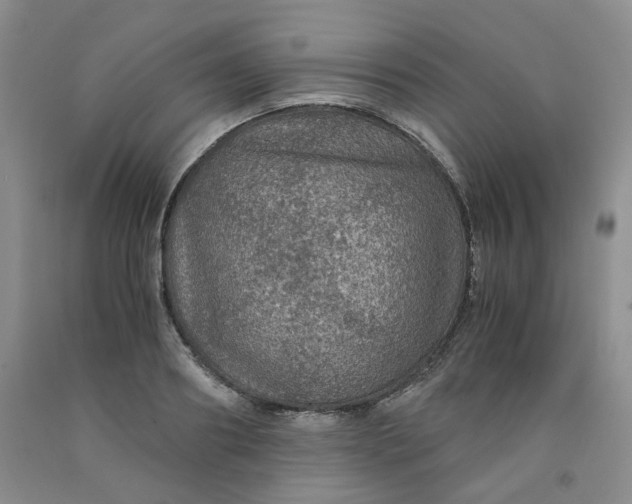 X0000091960890200709201341