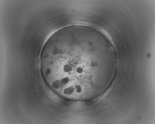 X0000091960891200709201341