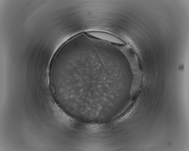 X0000091960892200709201341