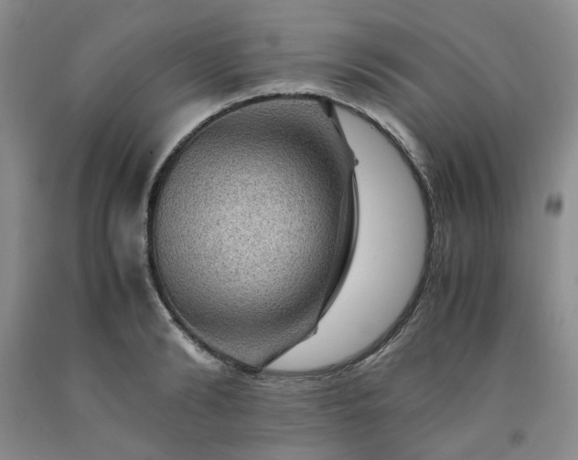 X0000091960894200709201341