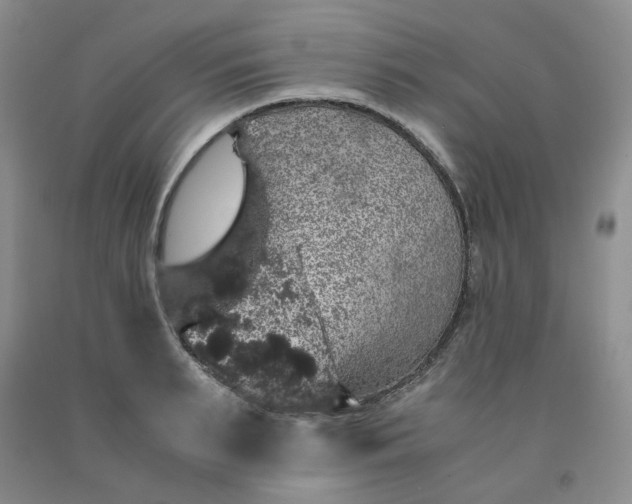 X0000091960895200709201341