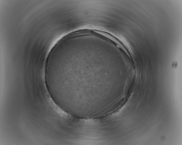 X0000091960896200709201341