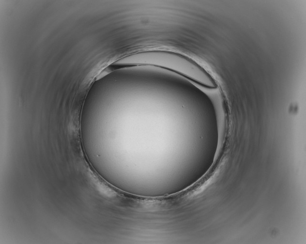 X0000091960897200709201341