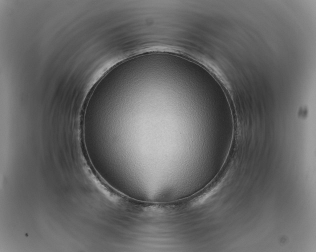 X0000091960898200709201341