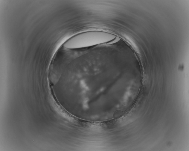 X0000091960899200709201341