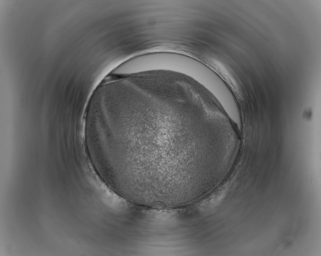 X0000091960900200709201341