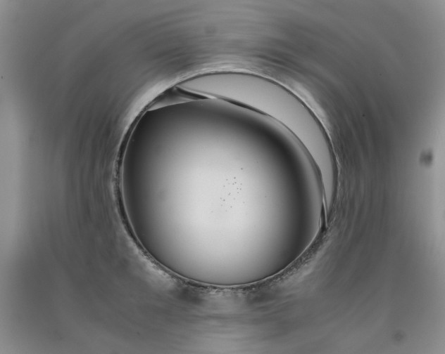 X0000091960901200709201341