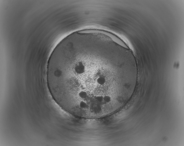 X0000091960903200709201341