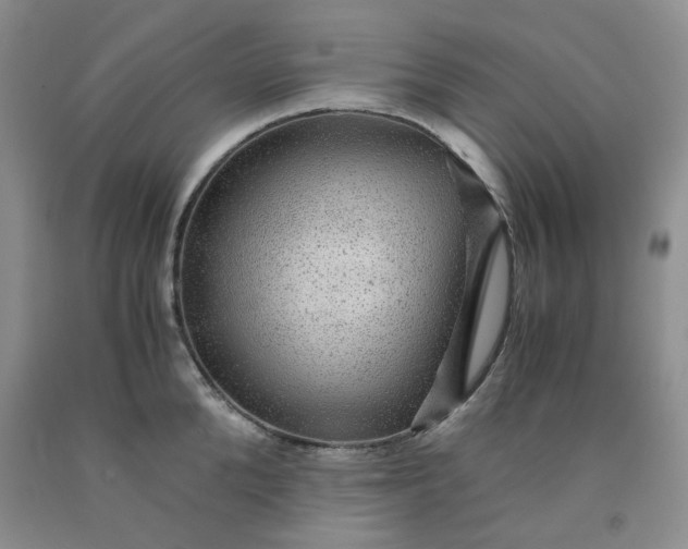 X0000091960904200709201341