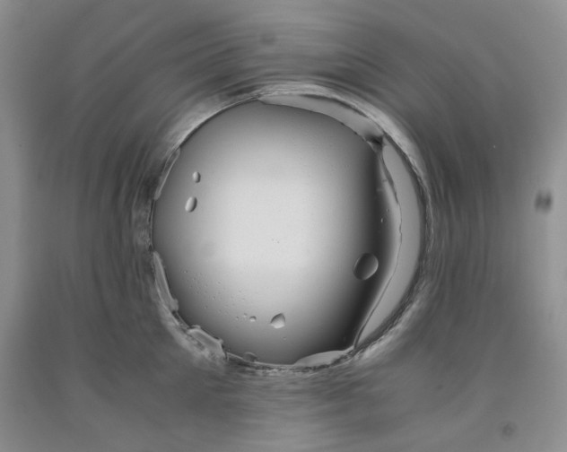 X0000091960905200709201341