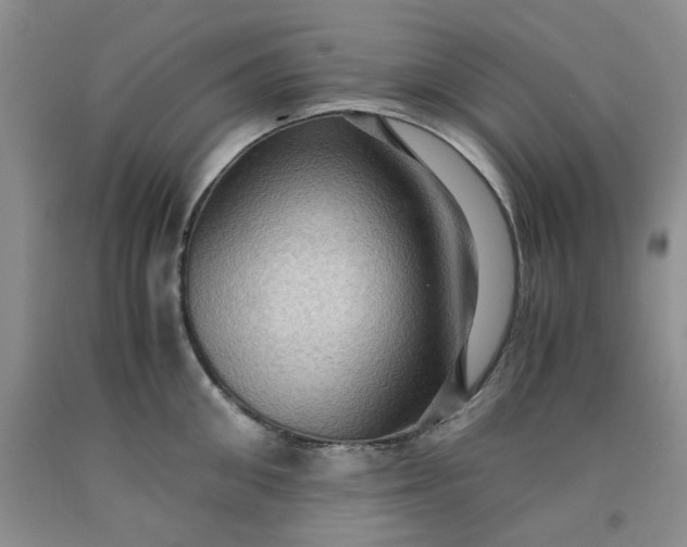 X0000091960906200709201341