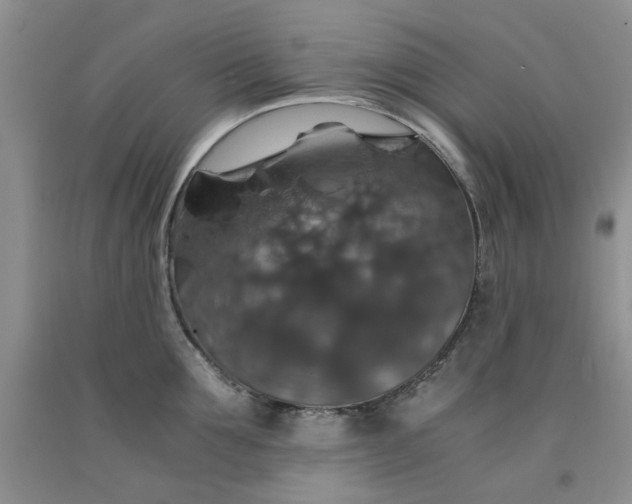 X0000091960907200709201341