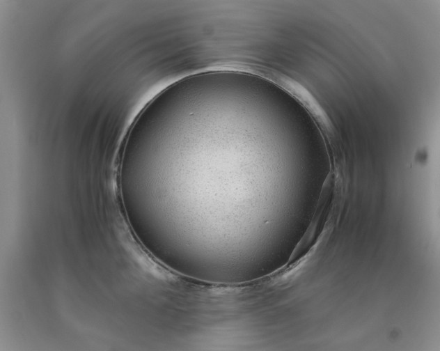 X0000091960908200709201341