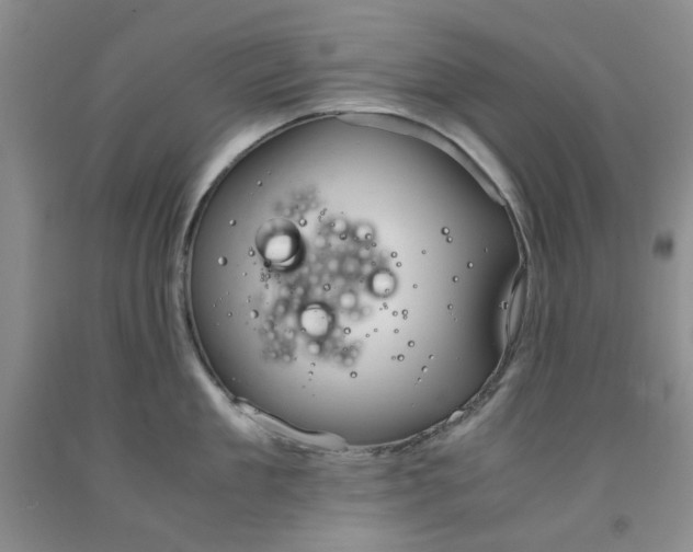 X0000091960909200709201341