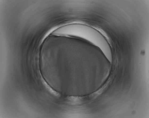 X0000091960910200709201341