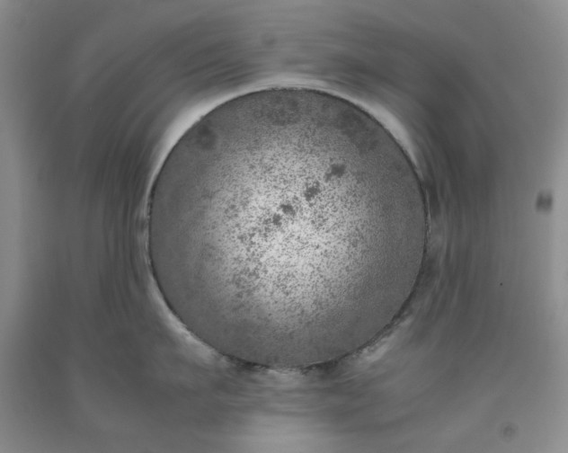 X0000091960911200709201341