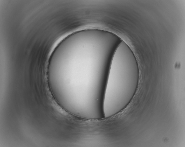 X0000091960912200709201341