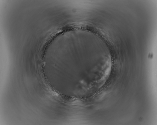 X0000091960913200709201340