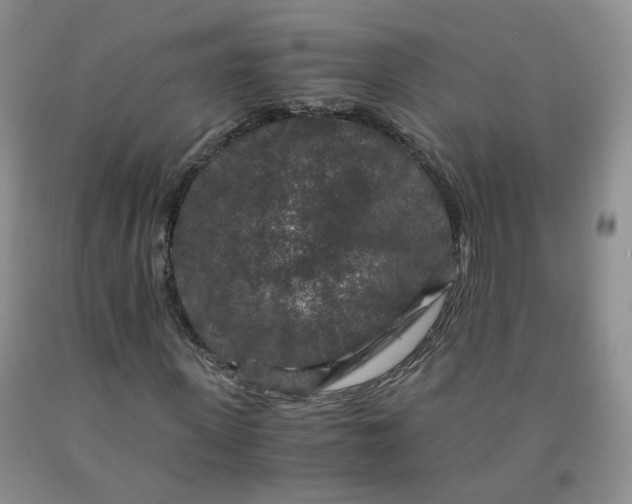 X0000091960915200709201340