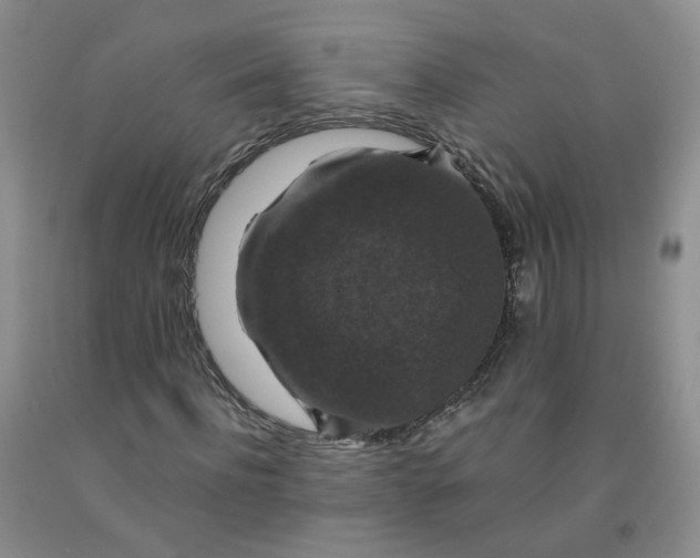 X0000091960916200709201340