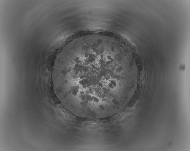 X0000091960917200709201340