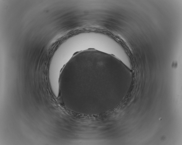 X0000091960919200709201340