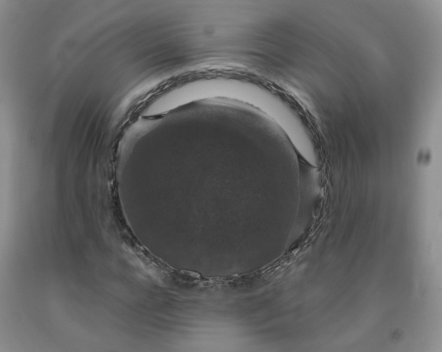 X0000091960920200709201340